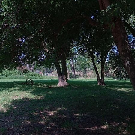 Studio 24 M2 - Hameaux De Camargue - Village 9 - 13200 آرْلْ المظهر الخارجي الصورة