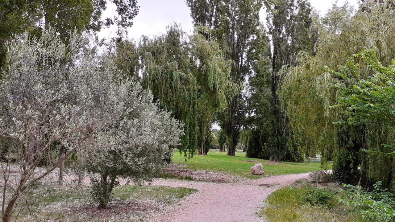 Studio 24 M2 - Hameaux De Camargue - Village 9 - 13200 آرْلْ المظهر الخارجي الصورة