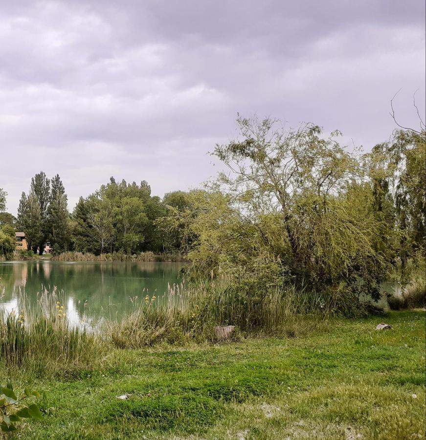 Studio 24 M2 - Hameaux De Camargue - Village 9 - 13200 آرْلْ المظهر الخارجي الصورة