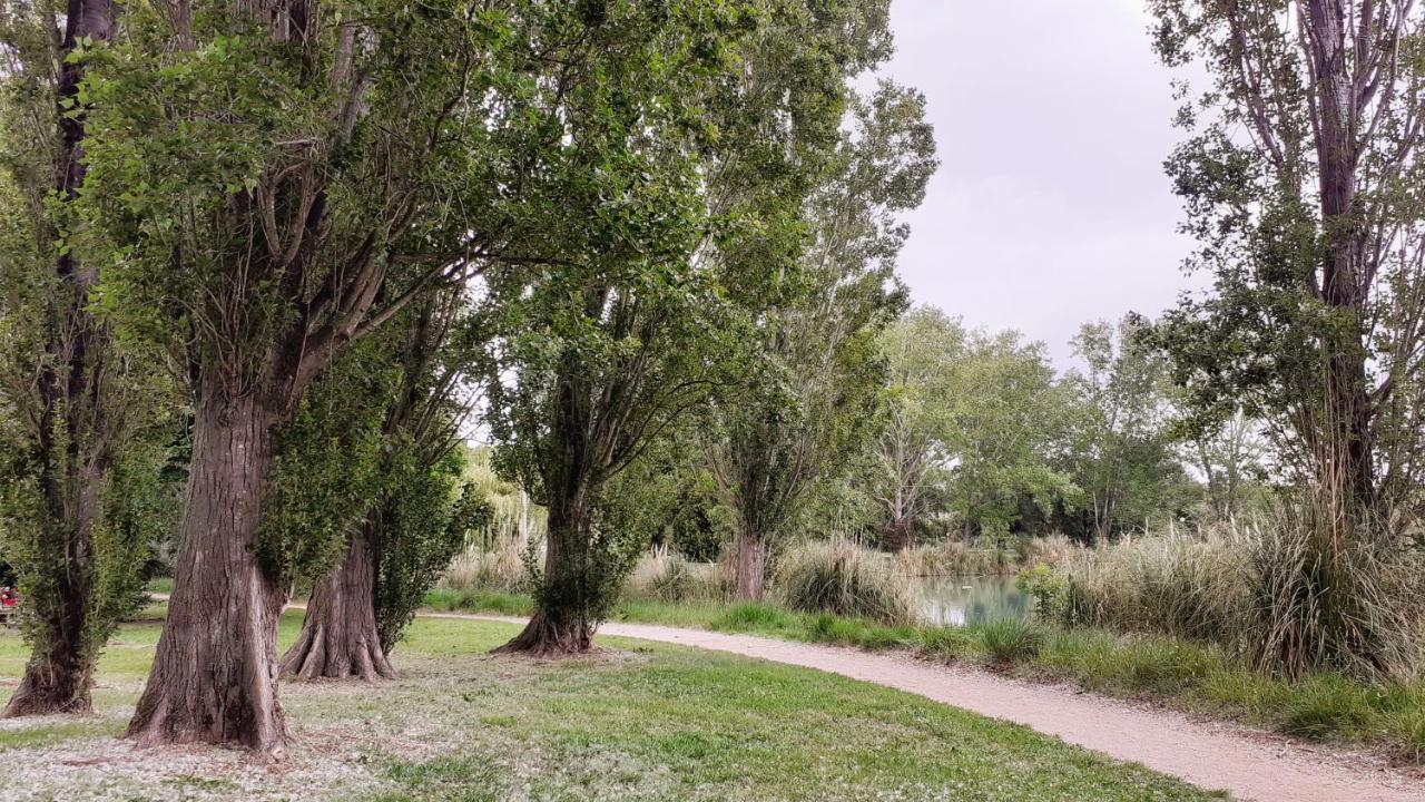 Studio 24 M2 - Hameaux De Camargue - Village 9 - 13200 آرْلْ المظهر الخارجي الصورة