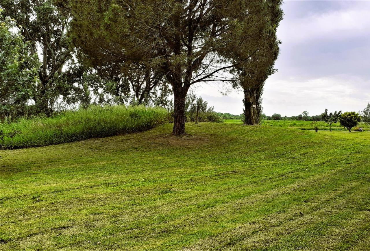 Studio 24 M2 - Hameaux De Camargue - Village 9 - 13200 آرْلْ المظهر الخارجي الصورة