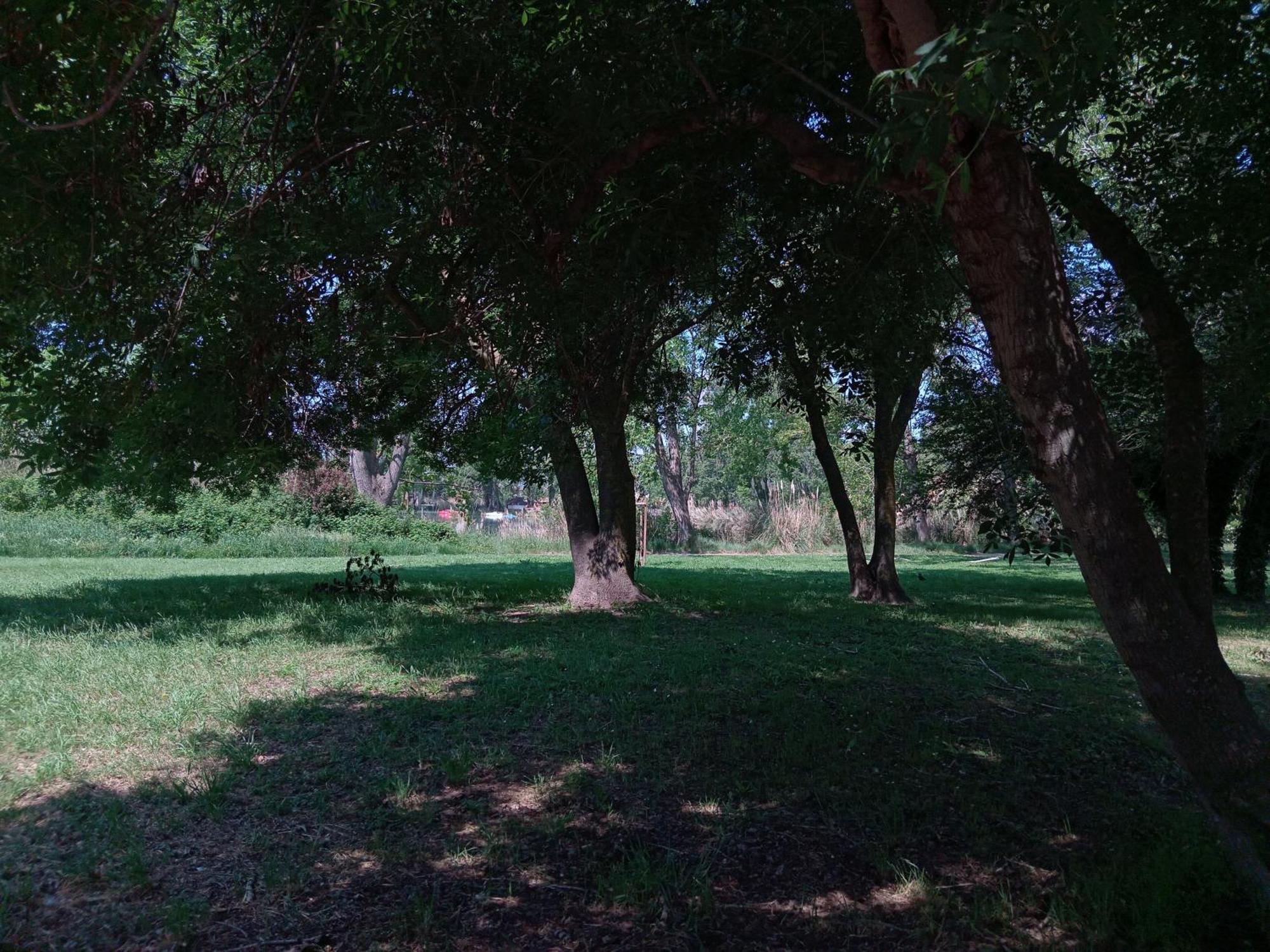 Studio 24 M2 - Hameaux De Camargue - Village 9 - 13200 آرْلْ المظهر الخارجي الصورة